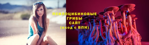 прущий лед Магас