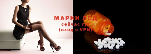 apvp Магадан