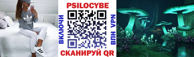 Галлюциногенные грибы Cubensis блэк спрут ссылки Орехово-Зуево